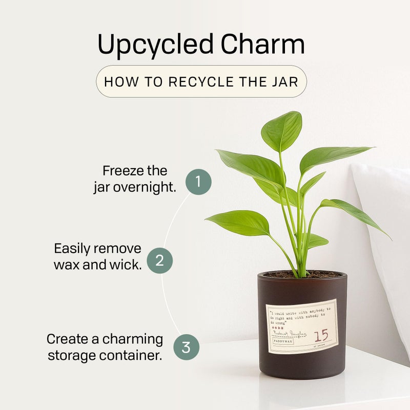 Paddywax Library Collection William Shakespeare Scented Soy Wax Candle, 6.5-Ounce, Paprus, Palm & Eucalyptus - Image 5